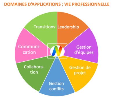 Profils Nuances - DISC - Leadership - management équipes - cohésion équipes